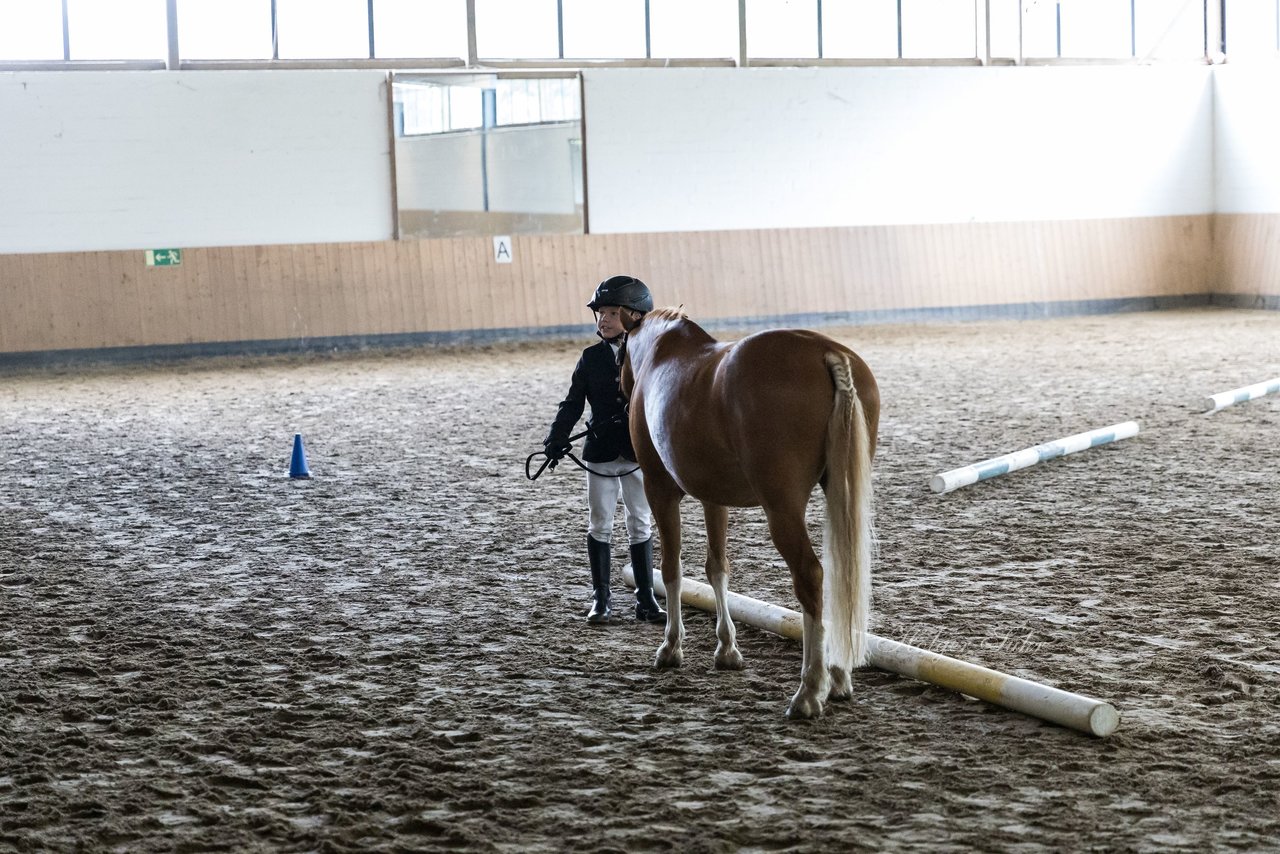 Bild 17 - Pony Akademie Turnier